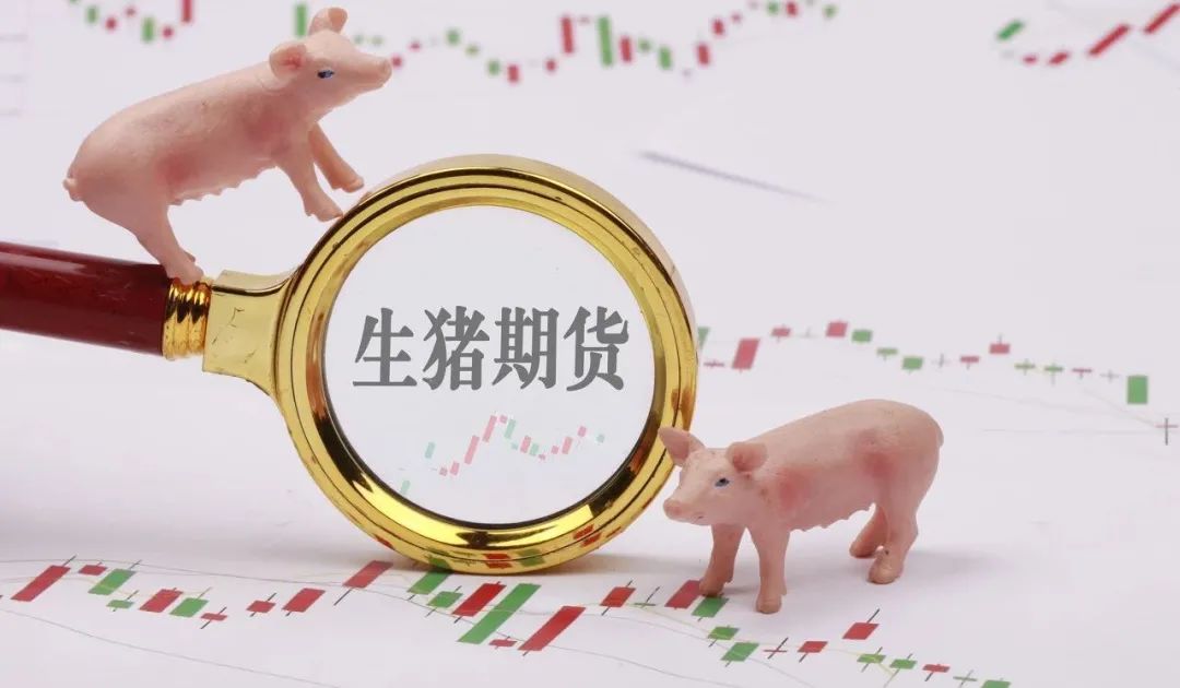 贵州修文生猪“保险+期货”项目结项 助力农户稳定增收